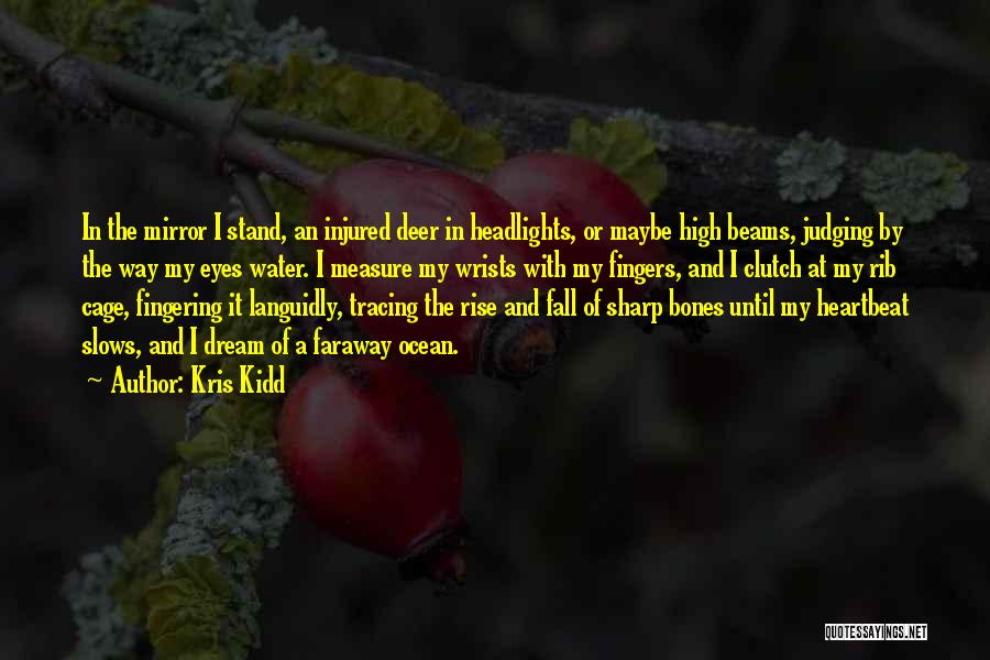 Kris Kidd Quotes: In The Mirror I Stand, An Injured Deer In Headlights, Or Maybe High Beams, Judging By The Way My Eyes