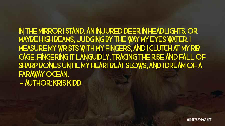 Kris Kidd Quotes: In The Mirror I Stand, An Injured Deer In Headlights, Or Maybe High Beams, Judging By The Way My Eyes