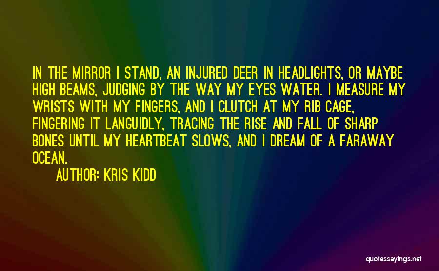Kris Kidd Quotes: In The Mirror I Stand, An Injured Deer In Headlights, Or Maybe High Beams, Judging By The Way My Eyes