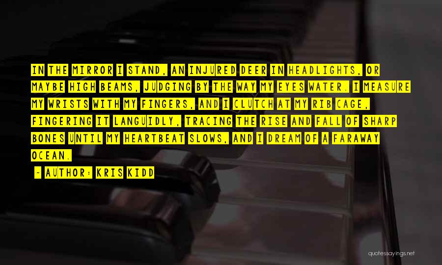 Kris Kidd Quotes: In The Mirror I Stand, An Injured Deer In Headlights, Or Maybe High Beams, Judging By The Way My Eyes