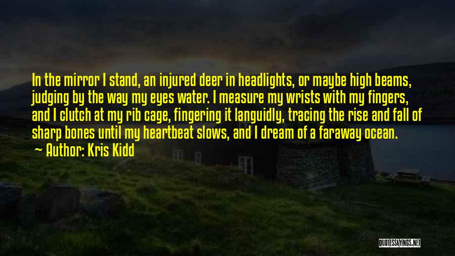 Kris Kidd Quotes: In The Mirror I Stand, An Injured Deer In Headlights, Or Maybe High Beams, Judging By The Way My Eyes