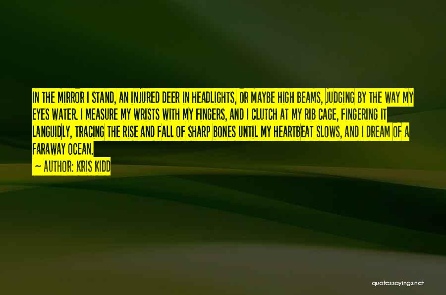 Kris Kidd Quotes: In The Mirror I Stand, An Injured Deer In Headlights, Or Maybe High Beams, Judging By The Way My Eyes