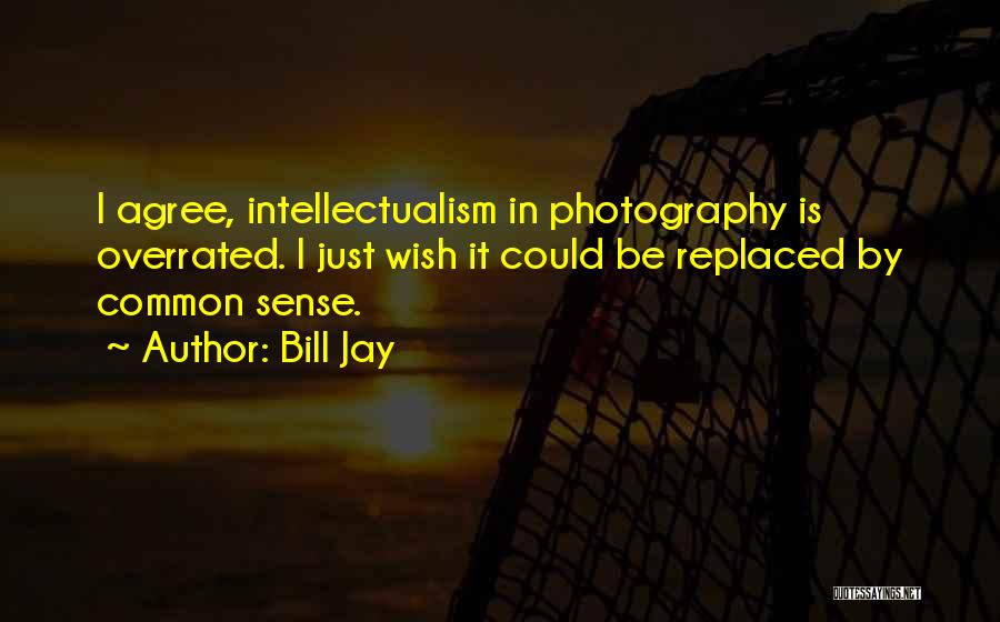 Bill Jay Quotes: I Agree, Intellectualism In Photography Is Overrated. I Just Wish It Could Be Replaced By Common Sense.