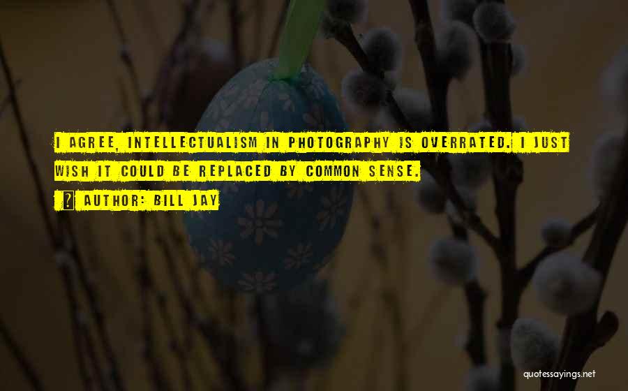Bill Jay Quotes: I Agree, Intellectualism In Photography Is Overrated. I Just Wish It Could Be Replaced By Common Sense.
