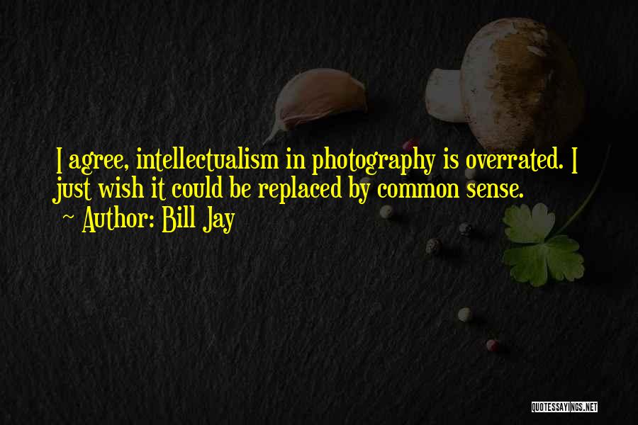 Bill Jay Quotes: I Agree, Intellectualism In Photography Is Overrated. I Just Wish It Could Be Replaced By Common Sense.