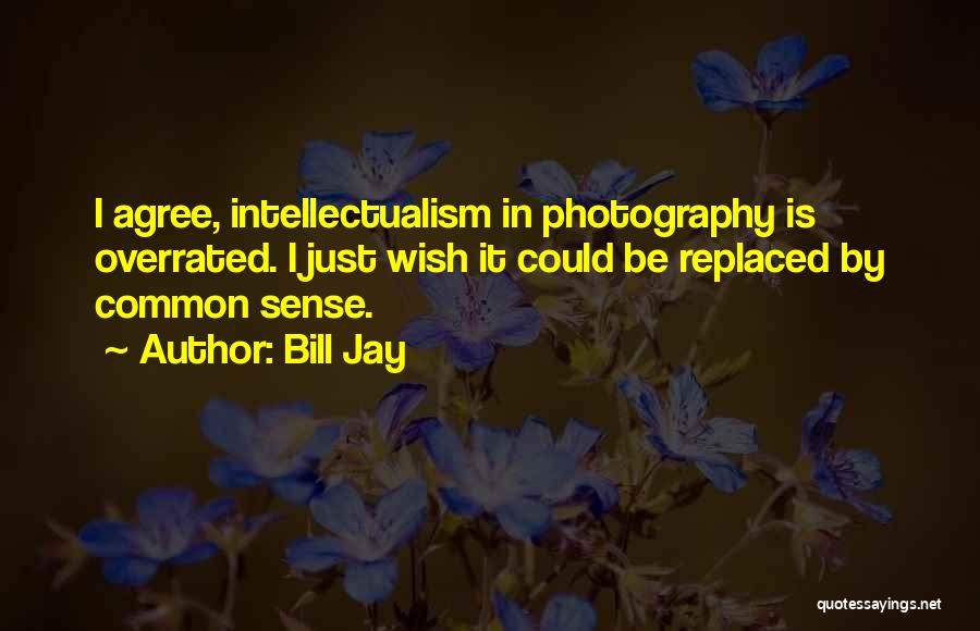 Bill Jay Quotes: I Agree, Intellectualism In Photography Is Overrated. I Just Wish It Could Be Replaced By Common Sense.