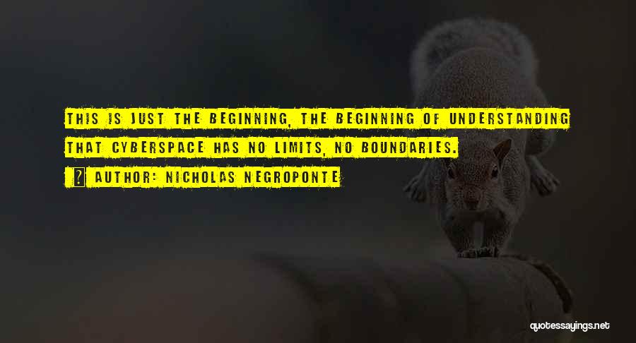 Nicholas Negroponte Quotes: This Is Just The Beginning, The Beginning Of Understanding That Cyberspace Has No Limits, No Boundaries.