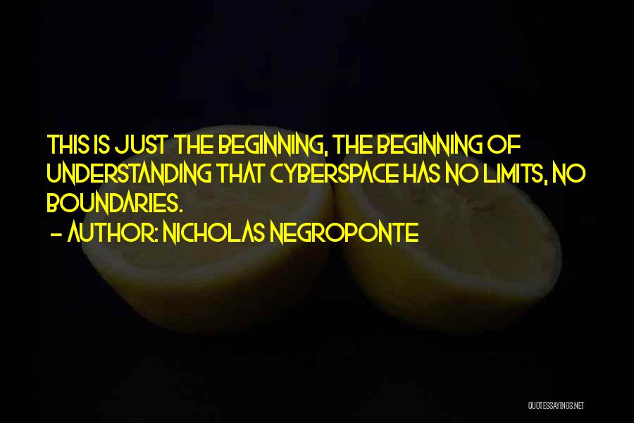 Nicholas Negroponte Quotes: This Is Just The Beginning, The Beginning Of Understanding That Cyberspace Has No Limits, No Boundaries.