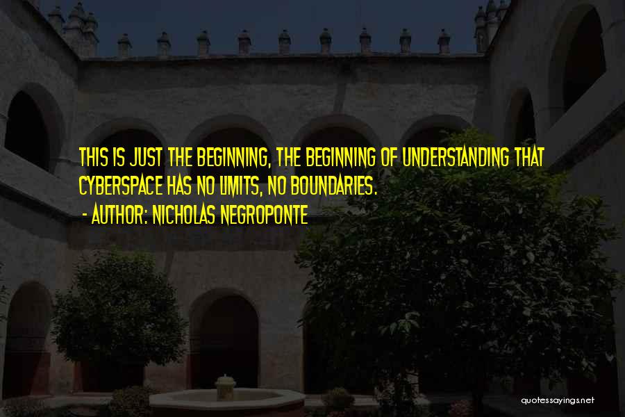 Nicholas Negroponte Quotes: This Is Just The Beginning, The Beginning Of Understanding That Cyberspace Has No Limits, No Boundaries.