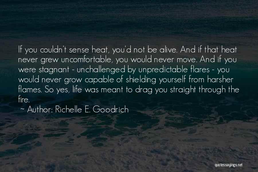 Richelle E. Goodrich Quotes: If You Couldn't Sense Heat, You'd Not Be Alive. And If That Heat Never Grew Uncomfortable, You Would Never Move.