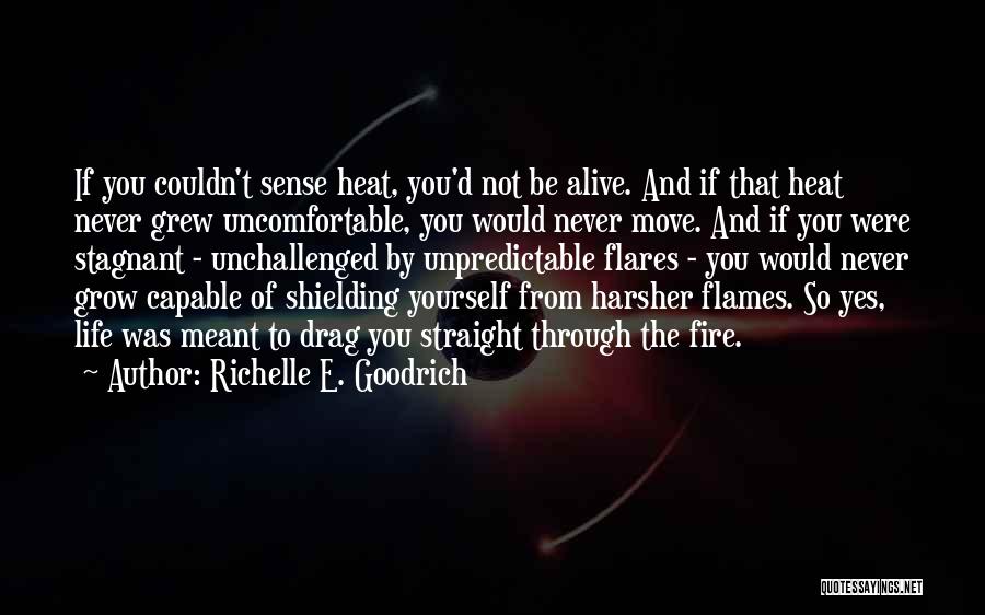 Richelle E. Goodrich Quotes: If You Couldn't Sense Heat, You'd Not Be Alive. And If That Heat Never Grew Uncomfortable, You Would Never Move.