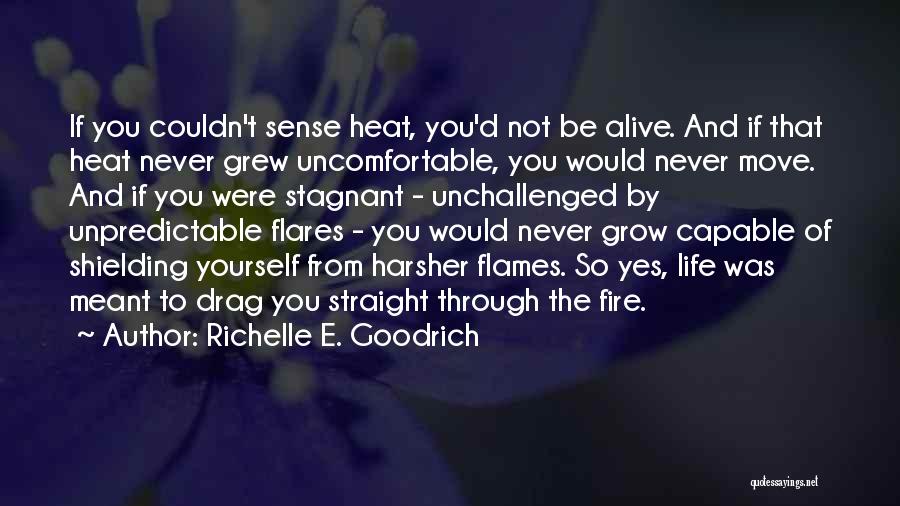 Richelle E. Goodrich Quotes: If You Couldn't Sense Heat, You'd Not Be Alive. And If That Heat Never Grew Uncomfortable, You Would Never Move.