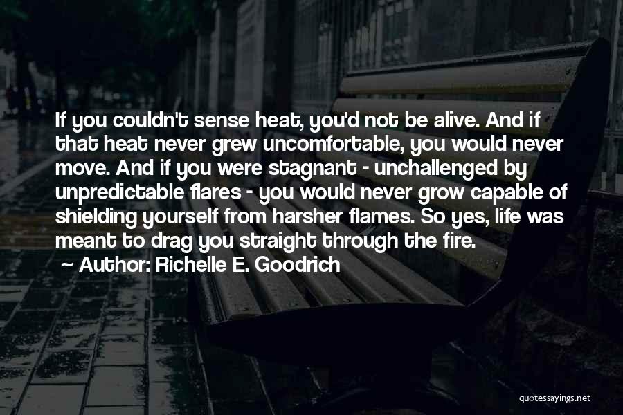 Richelle E. Goodrich Quotes: If You Couldn't Sense Heat, You'd Not Be Alive. And If That Heat Never Grew Uncomfortable, You Would Never Move.