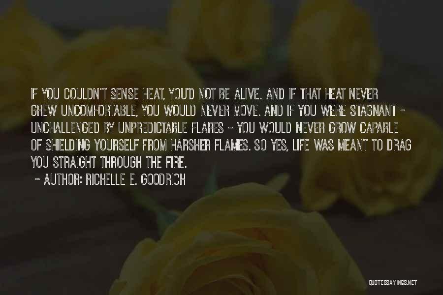 Richelle E. Goodrich Quotes: If You Couldn't Sense Heat, You'd Not Be Alive. And If That Heat Never Grew Uncomfortable, You Would Never Move.