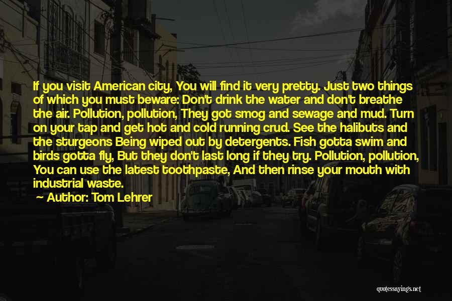 Tom Lehrer Quotes: If You Visit American City, You Will Find It Very Pretty. Just Two Things Of Which You Must Beware: Don't