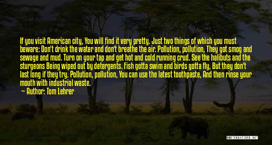 Tom Lehrer Quotes: If You Visit American City, You Will Find It Very Pretty. Just Two Things Of Which You Must Beware: Don't