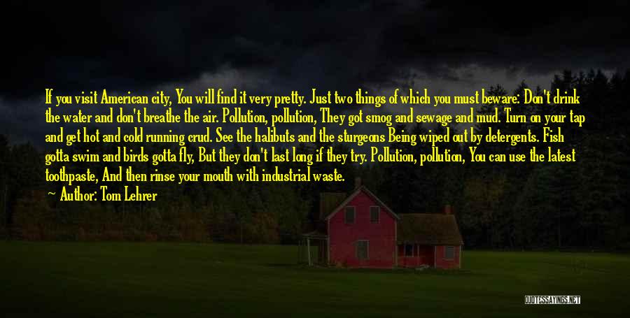 Tom Lehrer Quotes: If You Visit American City, You Will Find It Very Pretty. Just Two Things Of Which You Must Beware: Don't