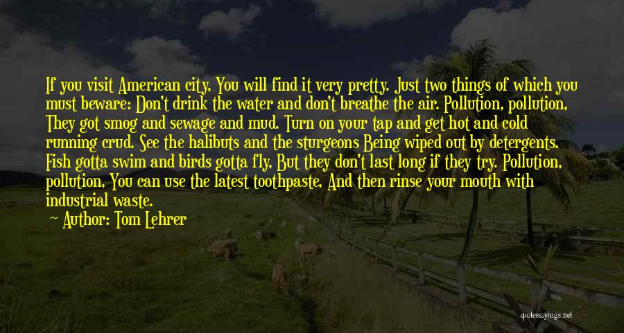 Tom Lehrer Quotes: If You Visit American City, You Will Find It Very Pretty. Just Two Things Of Which You Must Beware: Don't