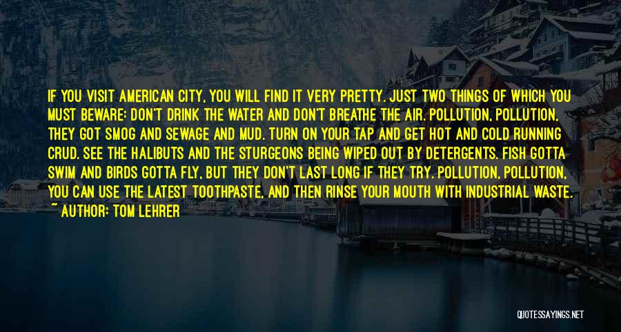 Tom Lehrer Quotes: If You Visit American City, You Will Find It Very Pretty. Just Two Things Of Which You Must Beware: Don't