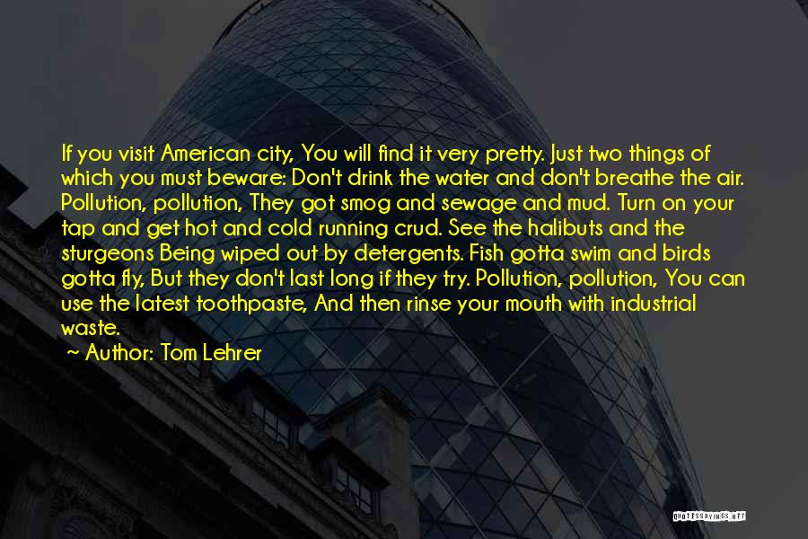 Tom Lehrer Quotes: If You Visit American City, You Will Find It Very Pretty. Just Two Things Of Which You Must Beware: Don't