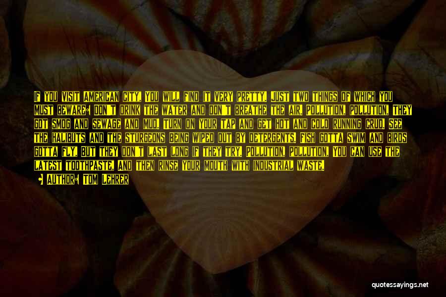 Tom Lehrer Quotes: If You Visit American City, You Will Find It Very Pretty. Just Two Things Of Which You Must Beware: Don't