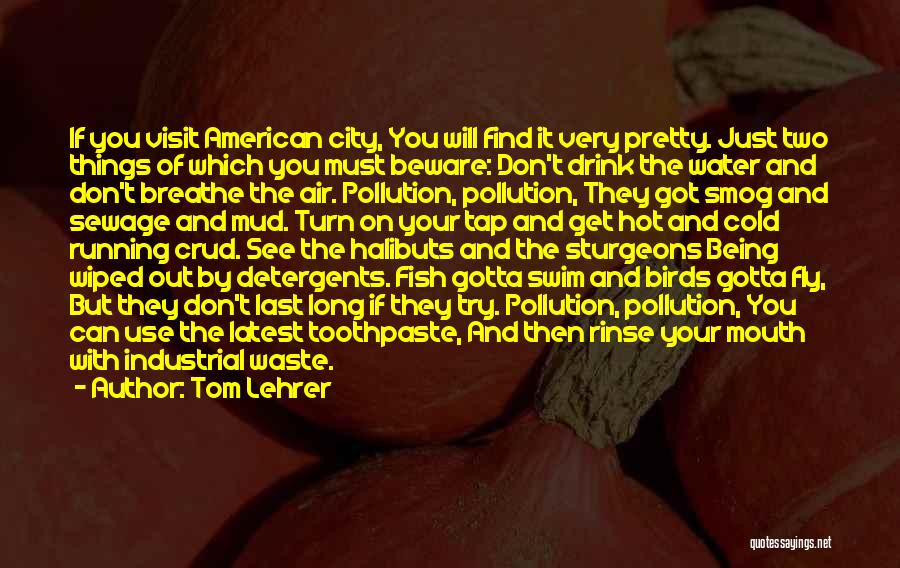 Tom Lehrer Quotes: If You Visit American City, You Will Find It Very Pretty. Just Two Things Of Which You Must Beware: Don't