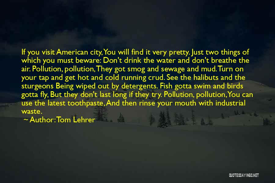 Tom Lehrer Quotes: If You Visit American City, You Will Find It Very Pretty. Just Two Things Of Which You Must Beware: Don't