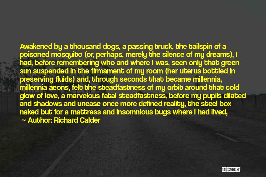 Richard Calder Quotes: Awakened By A Thousand Dogs, A Passing Truck, The Tailspin Of A Poisoned Mosquito (or, Perhaps, Merely The Silence Of