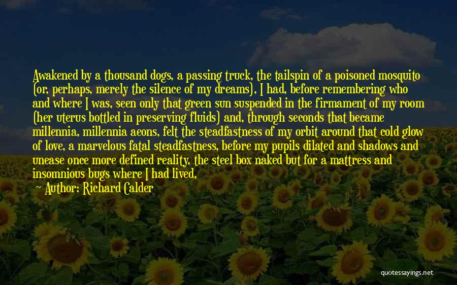 Richard Calder Quotes: Awakened By A Thousand Dogs, A Passing Truck, The Tailspin Of A Poisoned Mosquito (or, Perhaps, Merely The Silence Of