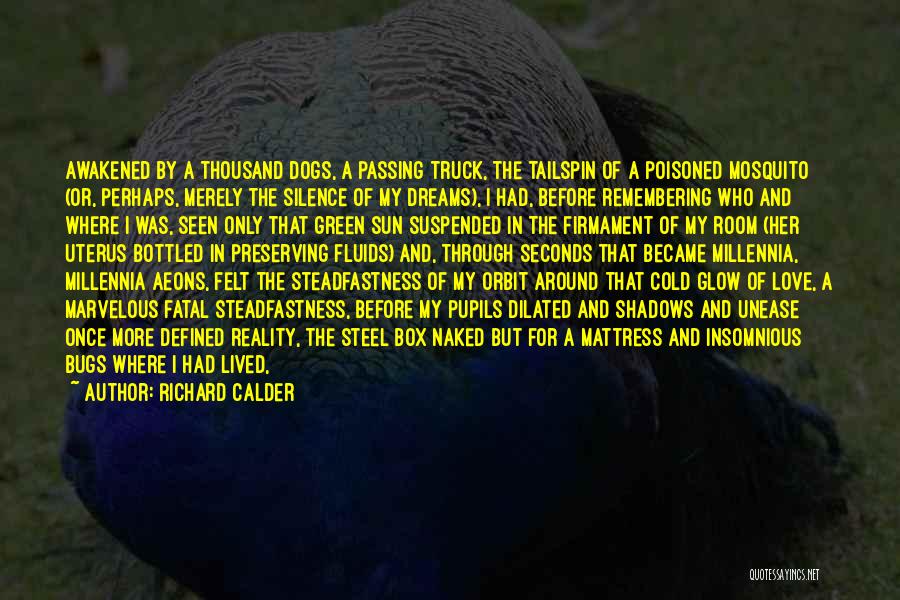 Richard Calder Quotes: Awakened By A Thousand Dogs, A Passing Truck, The Tailspin Of A Poisoned Mosquito (or, Perhaps, Merely The Silence Of