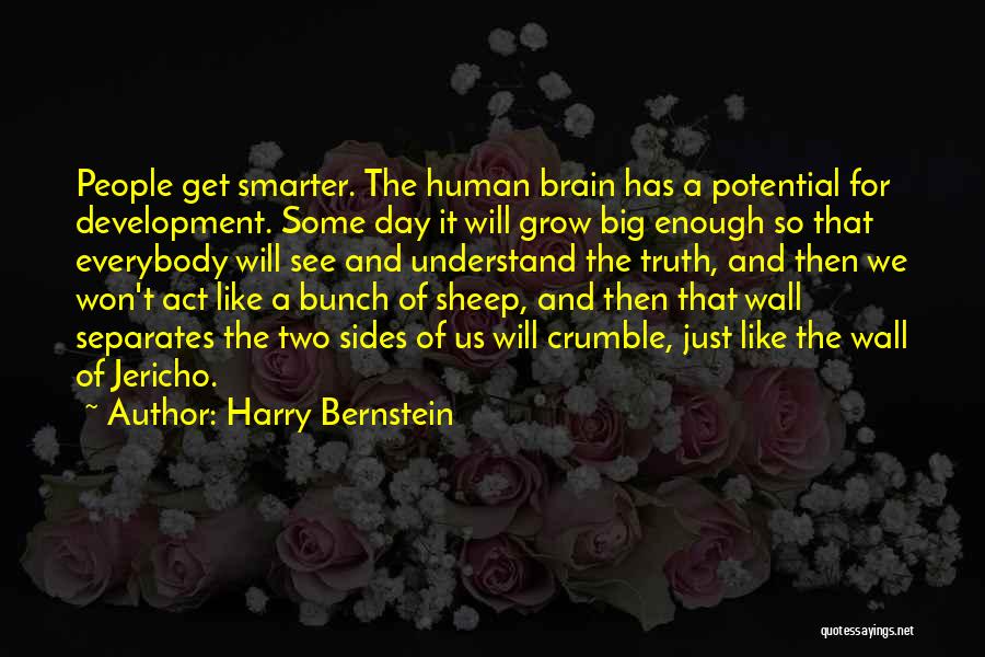 Harry Bernstein Quotes: People Get Smarter. The Human Brain Has A Potential For Development. Some Day It Will Grow Big Enough So That