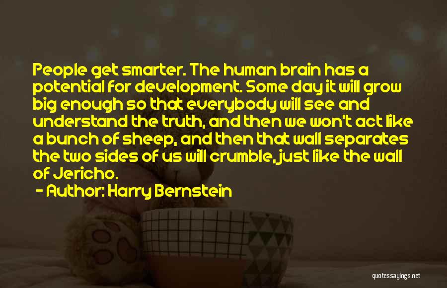 Harry Bernstein Quotes: People Get Smarter. The Human Brain Has A Potential For Development. Some Day It Will Grow Big Enough So That