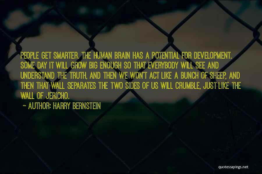 Harry Bernstein Quotes: People Get Smarter. The Human Brain Has A Potential For Development. Some Day It Will Grow Big Enough So That