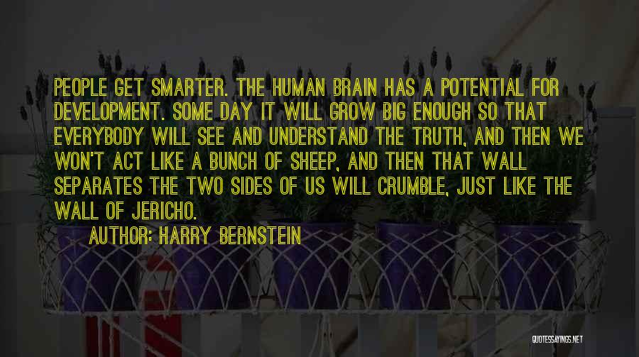 Harry Bernstein Quotes: People Get Smarter. The Human Brain Has A Potential For Development. Some Day It Will Grow Big Enough So That
