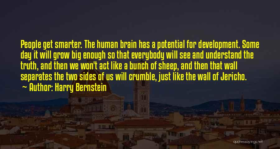 Harry Bernstein Quotes: People Get Smarter. The Human Brain Has A Potential For Development. Some Day It Will Grow Big Enough So That