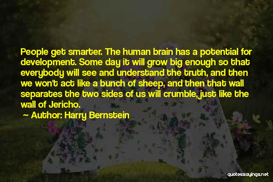 Harry Bernstein Quotes: People Get Smarter. The Human Brain Has A Potential For Development. Some Day It Will Grow Big Enough So That