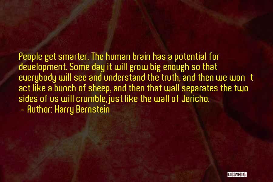 Harry Bernstein Quotes: People Get Smarter. The Human Brain Has A Potential For Development. Some Day It Will Grow Big Enough So That