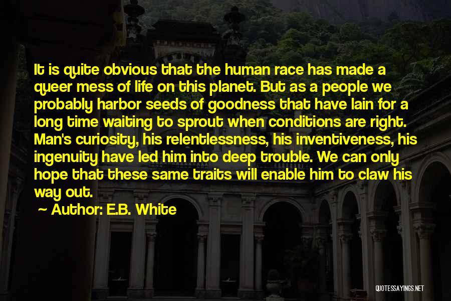 E.B. White Quotes: It Is Quite Obvious That The Human Race Has Made A Queer Mess Of Life On This Planet. But As