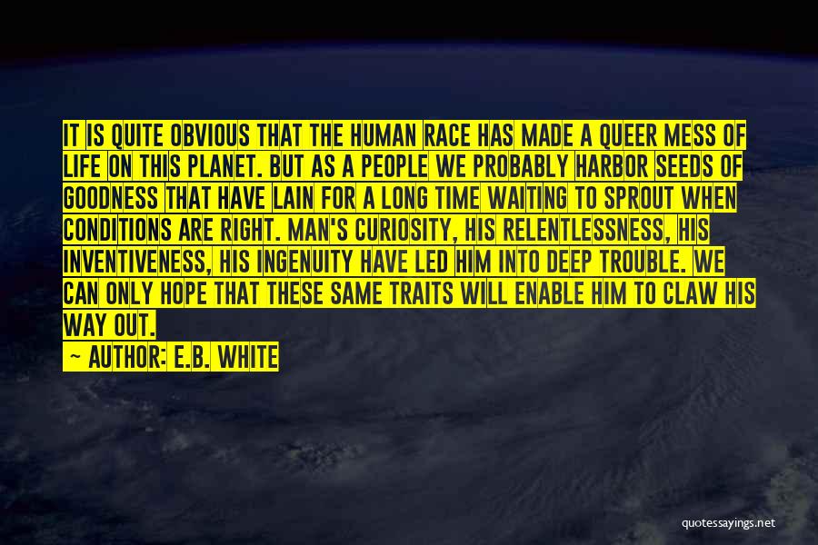 E.B. White Quotes: It Is Quite Obvious That The Human Race Has Made A Queer Mess Of Life On This Planet. But As