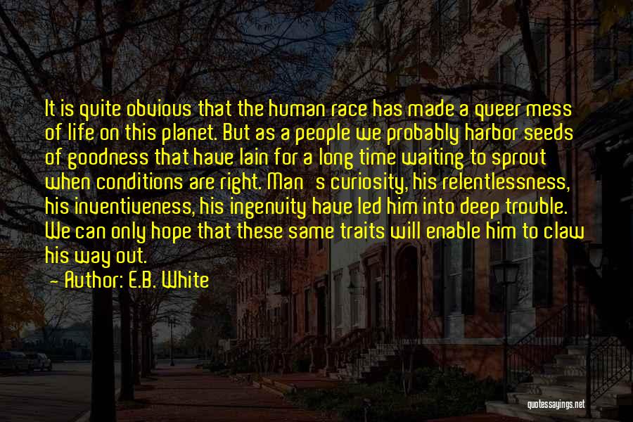 E.B. White Quotes: It Is Quite Obvious That The Human Race Has Made A Queer Mess Of Life On This Planet. But As