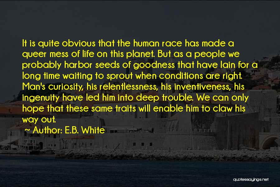 E.B. White Quotes: It Is Quite Obvious That The Human Race Has Made A Queer Mess Of Life On This Planet. But As