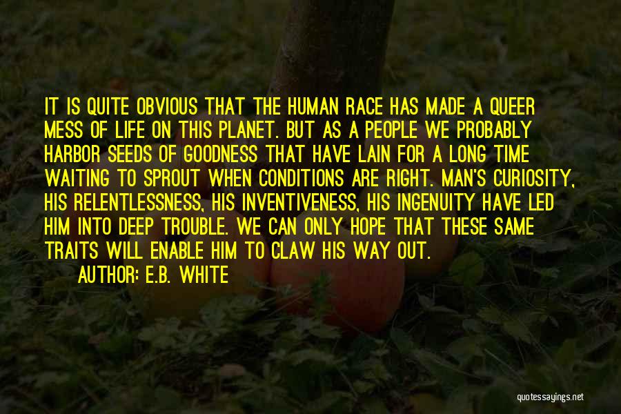 E.B. White Quotes: It Is Quite Obvious That The Human Race Has Made A Queer Mess Of Life On This Planet. But As