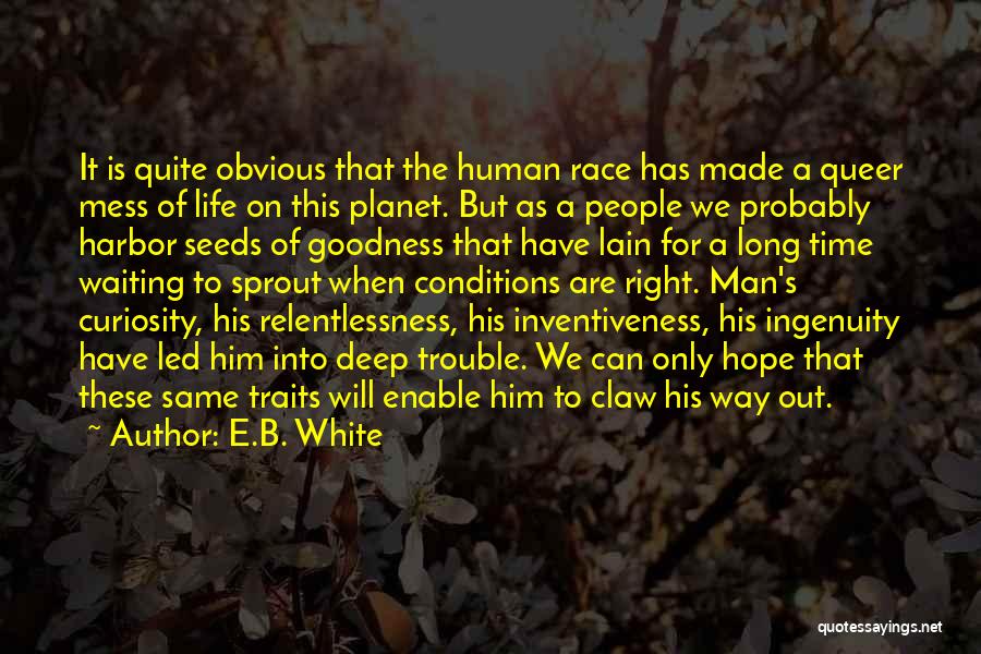 E.B. White Quotes: It Is Quite Obvious That The Human Race Has Made A Queer Mess Of Life On This Planet. But As