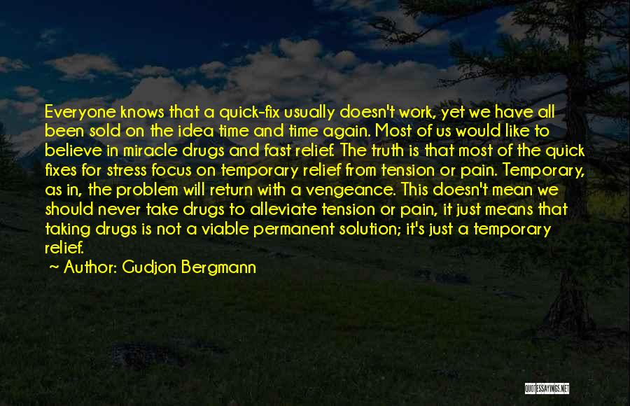 Gudjon Bergmann Quotes: Everyone Knows That A Quick-fix Usually Doesn't Work, Yet We Have All Been Sold On The Idea Time And Time