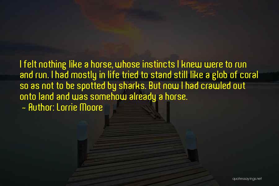 Lorrie Moore Quotes: I Felt Nothing Like A Horse, Whose Instincts I Knew Were To Run And Run. I Had Mostly In Life