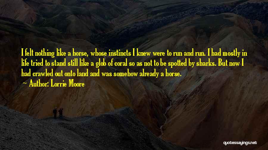 Lorrie Moore Quotes: I Felt Nothing Like A Horse, Whose Instincts I Knew Were To Run And Run. I Had Mostly In Life