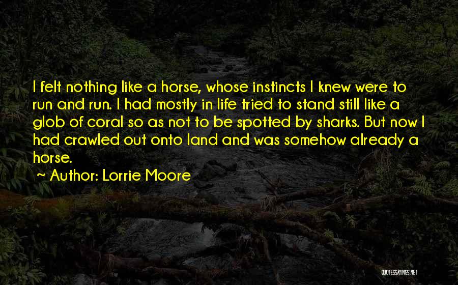 Lorrie Moore Quotes: I Felt Nothing Like A Horse, Whose Instincts I Knew Were To Run And Run. I Had Mostly In Life