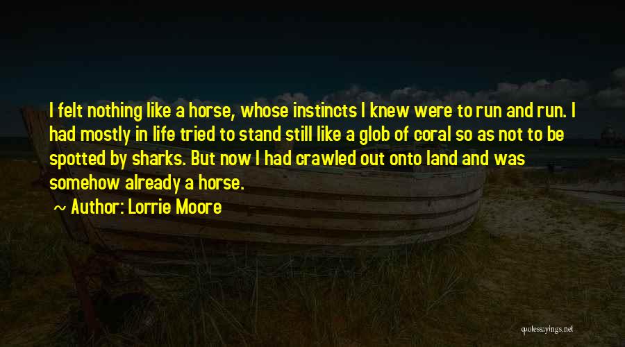 Lorrie Moore Quotes: I Felt Nothing Like A Horse, Whose Instincts I Knew Were To Run And Run. I Had Mostly In Life