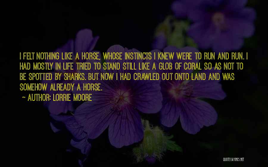 Lorrie Moore Quotes: I Felt Nothing Like A Horse, Whose Instincts I Knew Were To Run And Run. I Had Mostly In Life