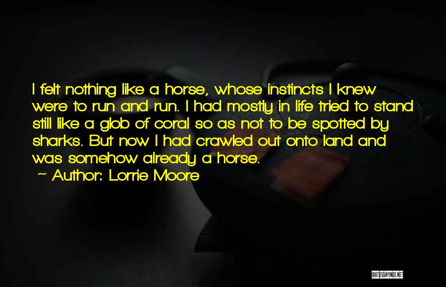 Lorrie Moore Quotes: I Felt Nothing Like A Horse, Whose Instincts I Knew Were To Run And Run. I Had Mostly In Life